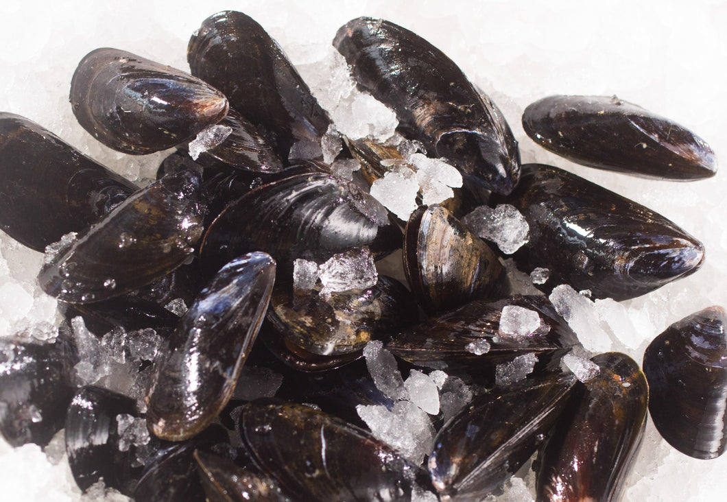 MUSSELS PEI LIVE