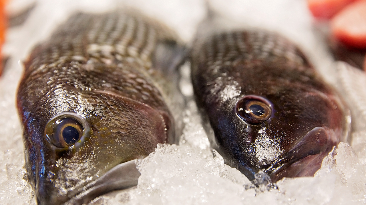 Deep Blue Seafood, business photo 4
